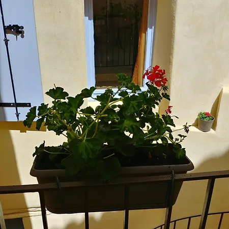 Pilpoil Pensión *